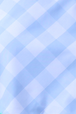 Bayside Blue Check