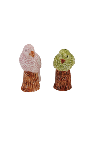 Stoneware Parrot Shaped Salt & Pepper Shakers (Set of 2) - Pink & Green